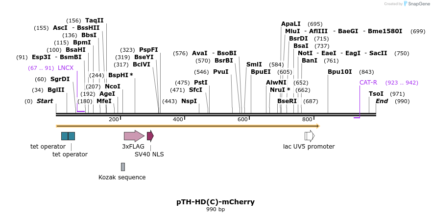 76190_map