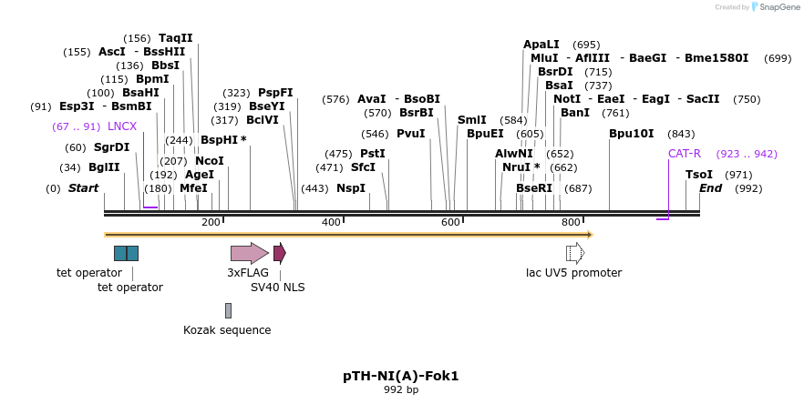 76192_map