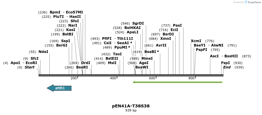 76212_map
