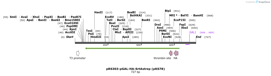 76213_map