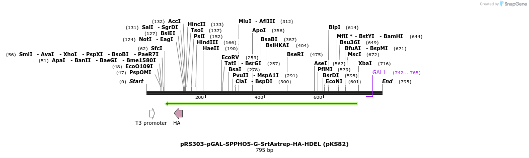 76214_map