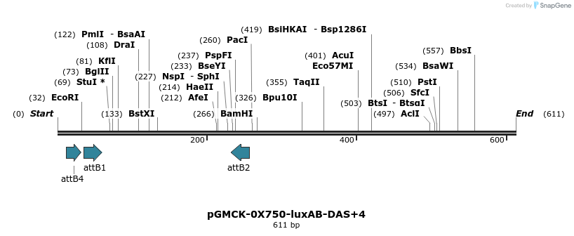 76216_map