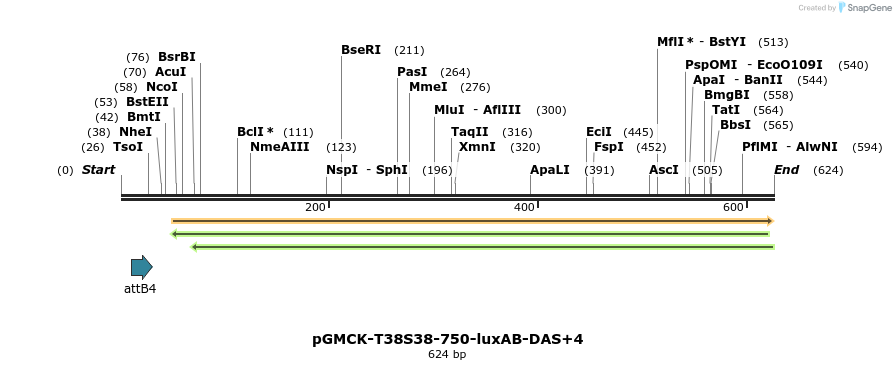 76217_map
