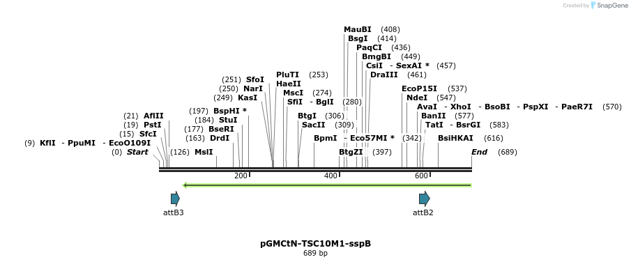 76218_map