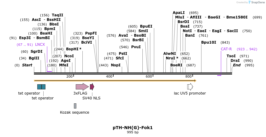 76220_map