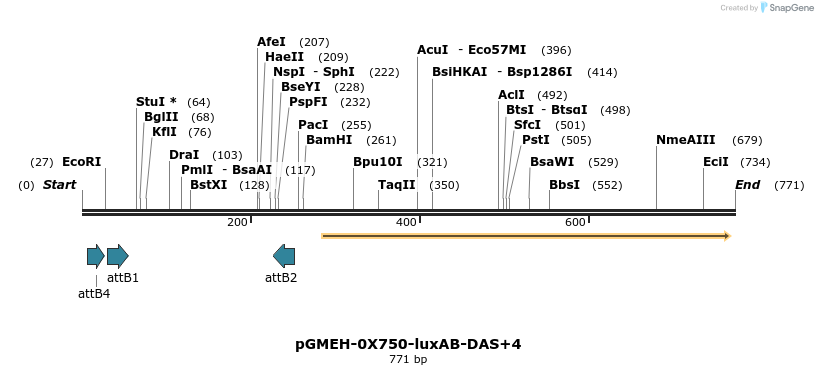 76221_map