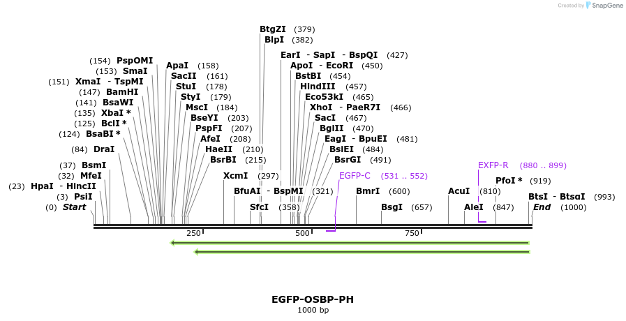 76222_map