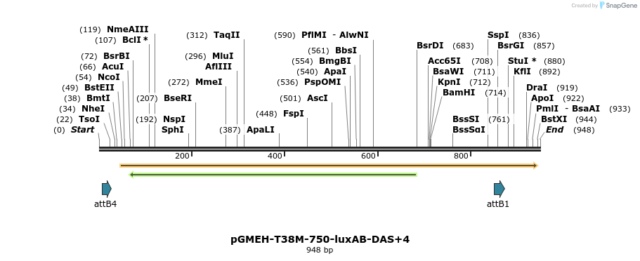 76223_map