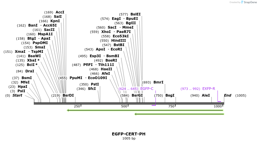 76224_map