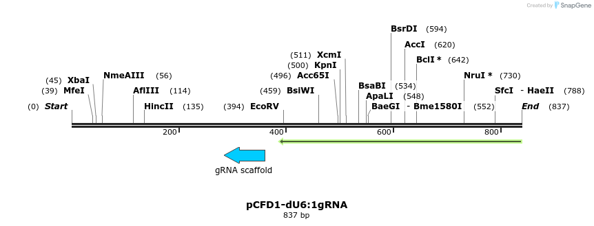 76229_map