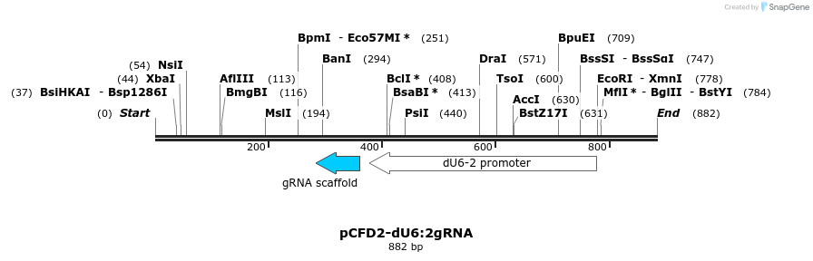 76231_map