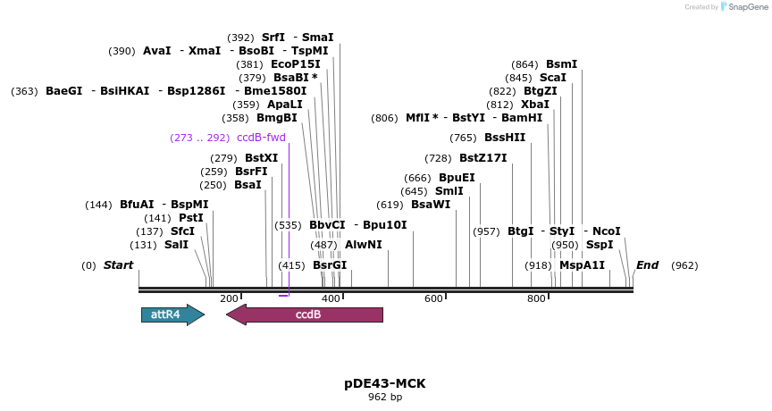 76235_map