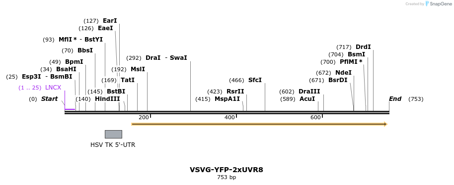 76237_map