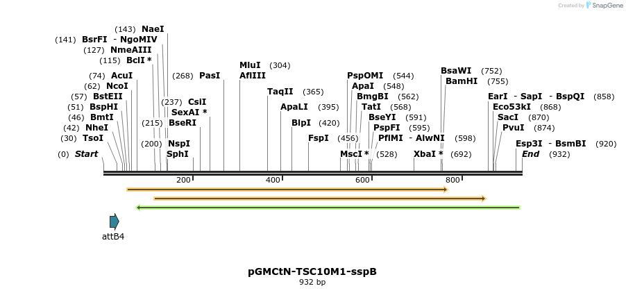 76238_map