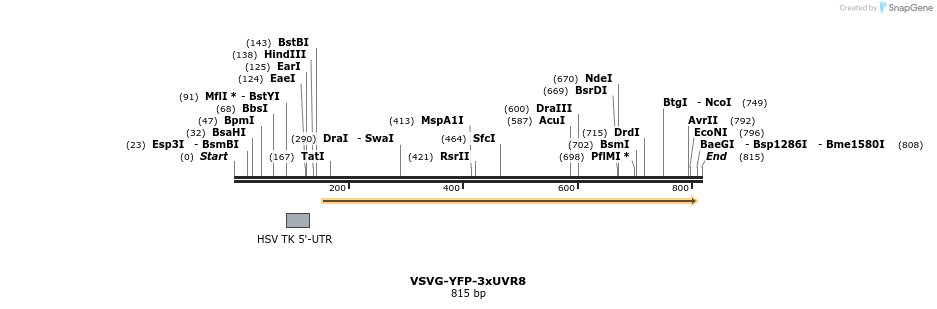 76240_map