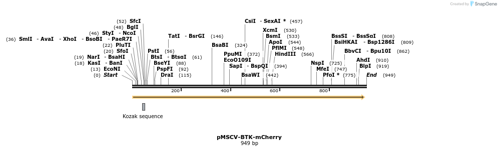 76242_map
