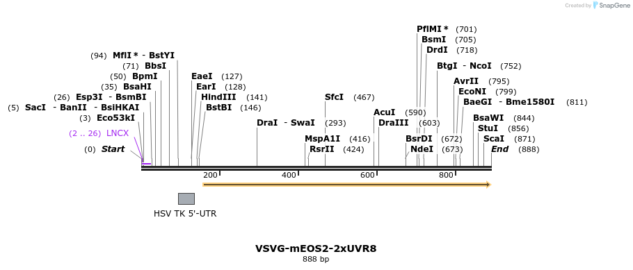 76243_map