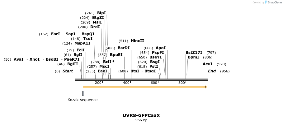 76246_map