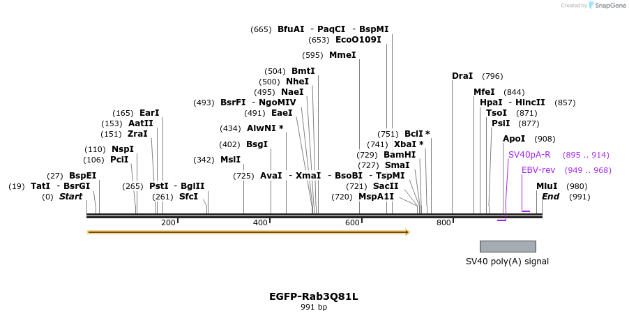 76259_map