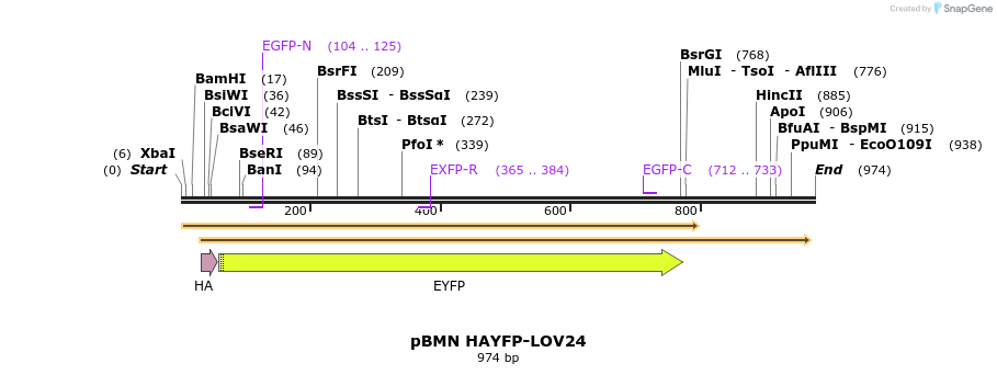 76260_map