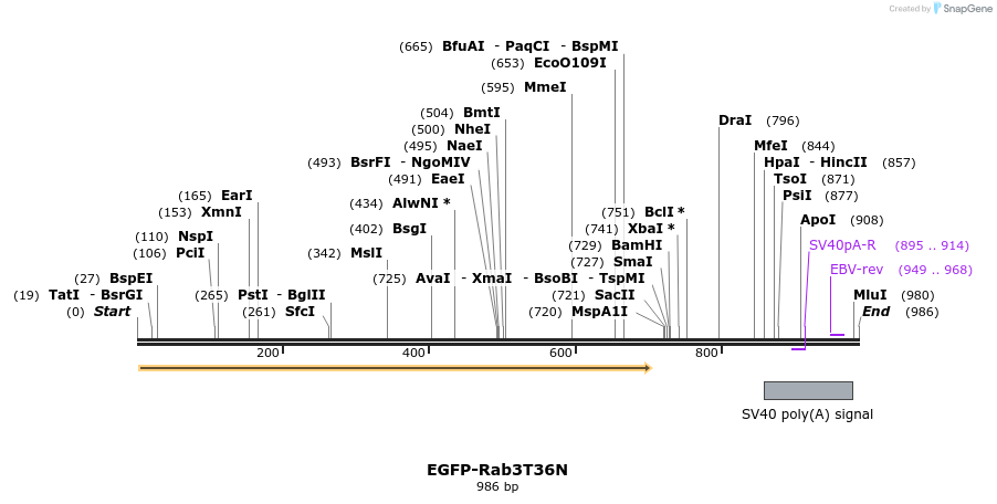 76262_map