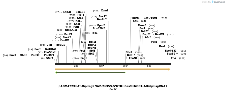76263_map