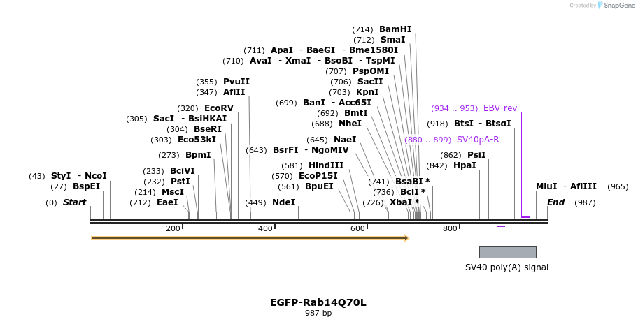76277_map