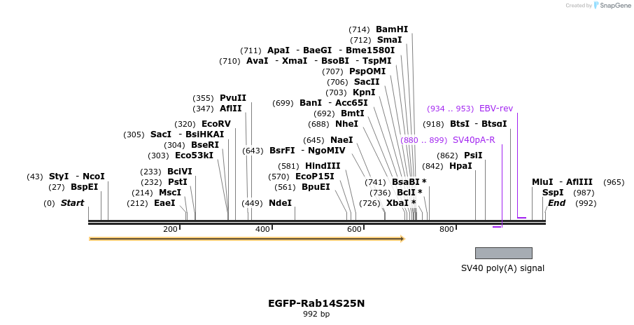 76279_map