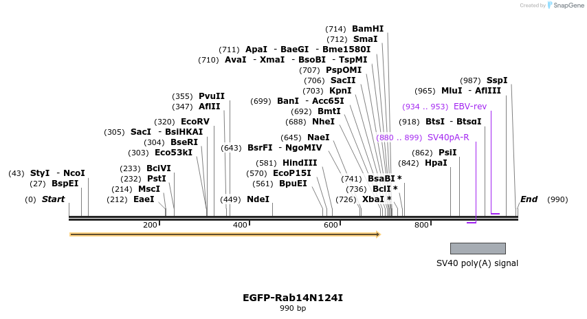 76281_map