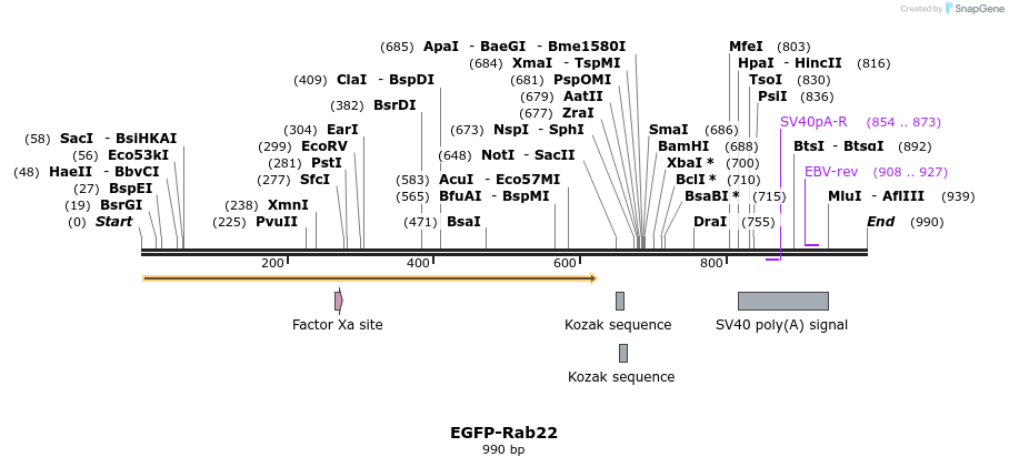 76284_map