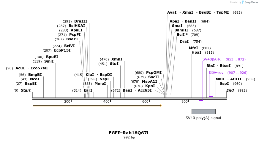 76316_map