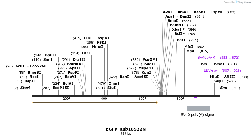 76317_map