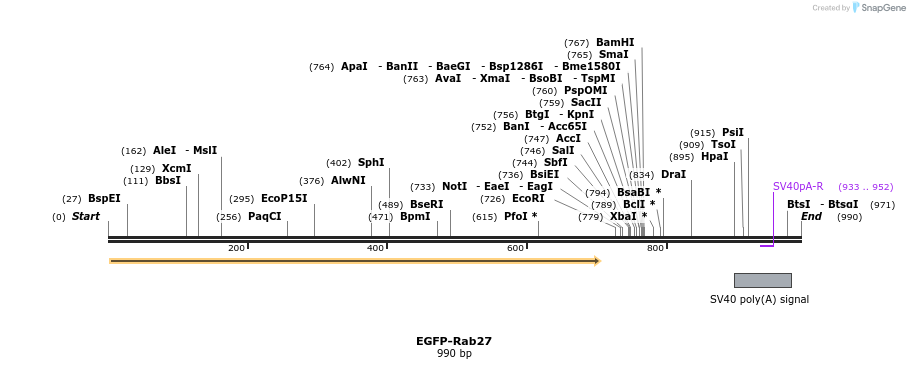 76323_map