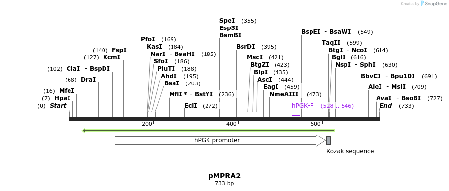 76325_map