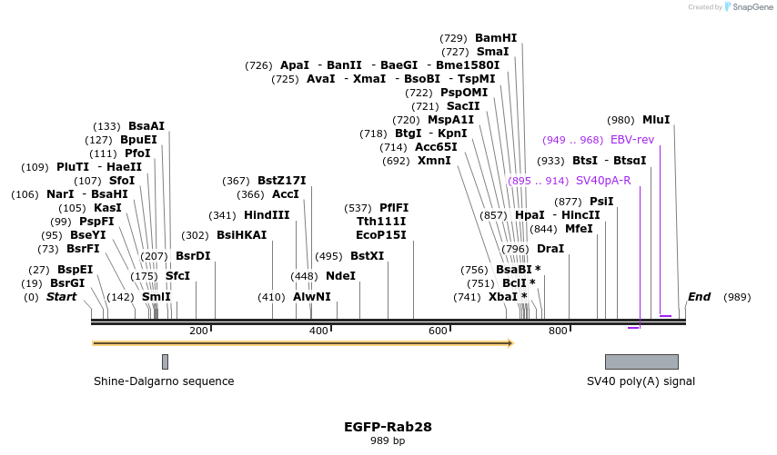76326_map