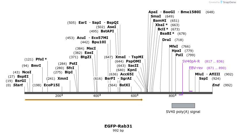 76330_map