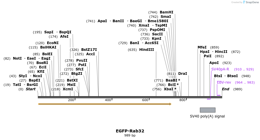 76331_map