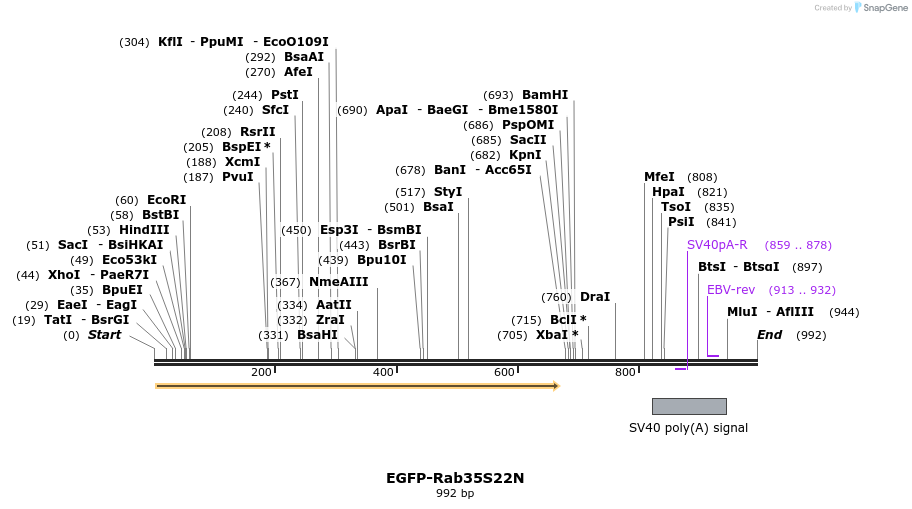76389_map