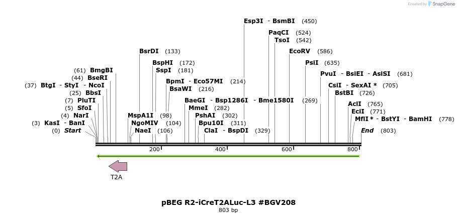 76394_map