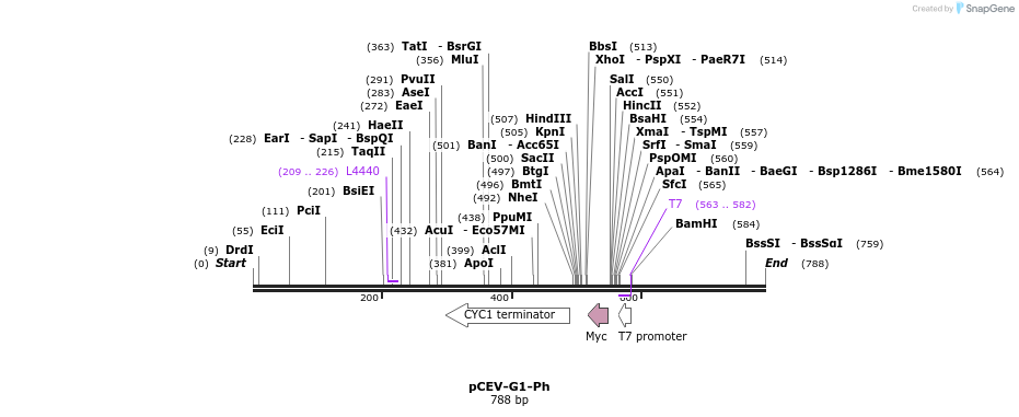 76406_map