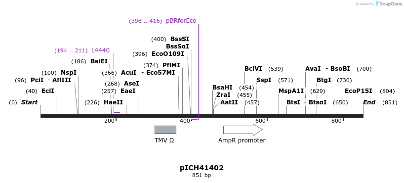 76413_map