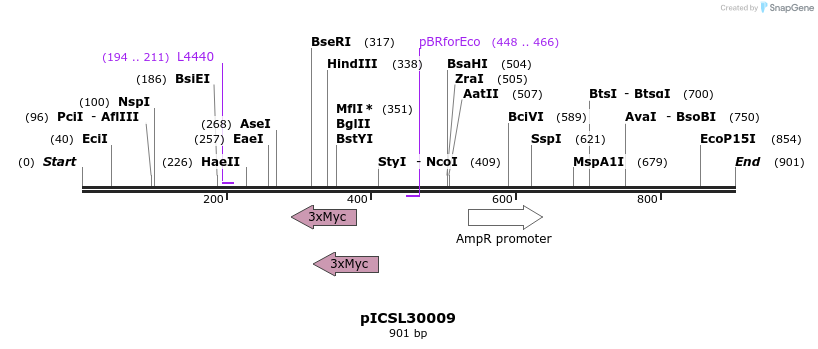76415_map
