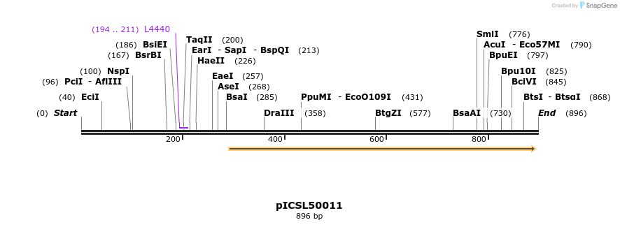 76418_map