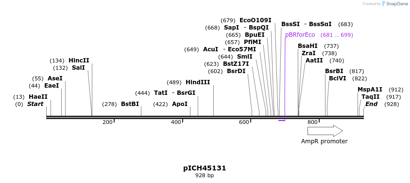 76424_map
