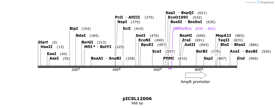 76425_map