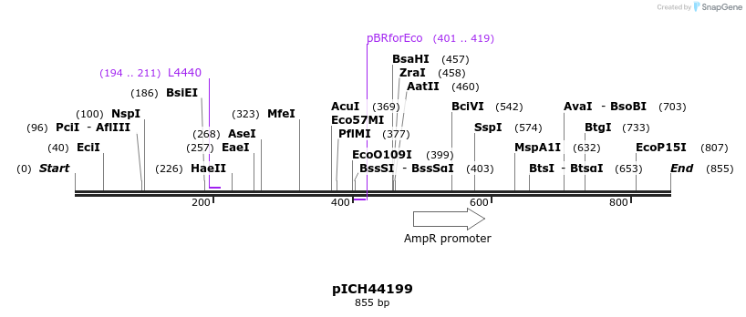 76427_map