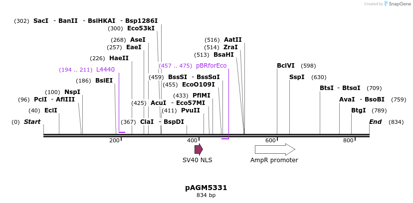 76428_map