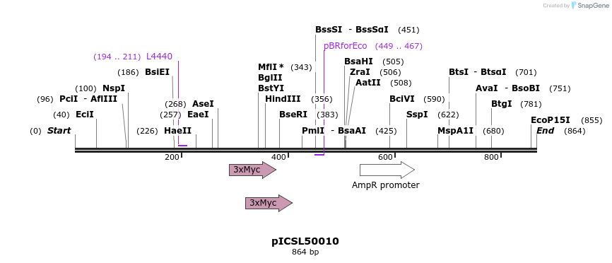 76432_map