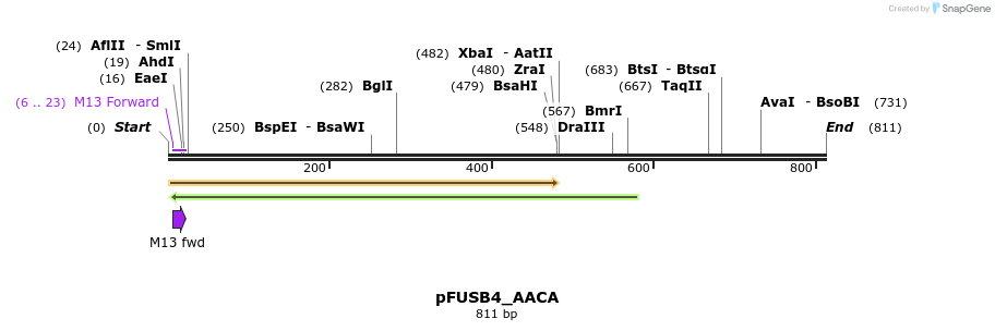 76433_map
