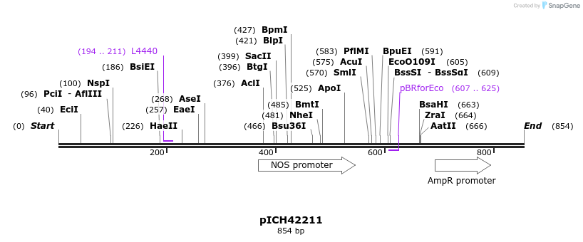 76449_map